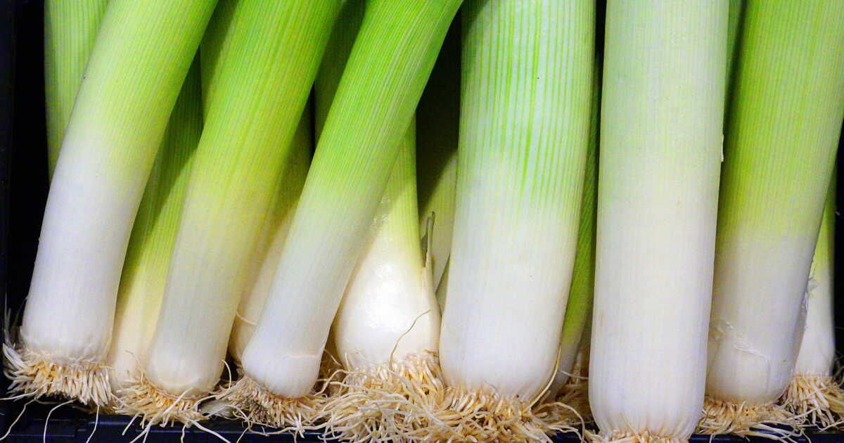 Les secrets pour bien congeler vos poireaux