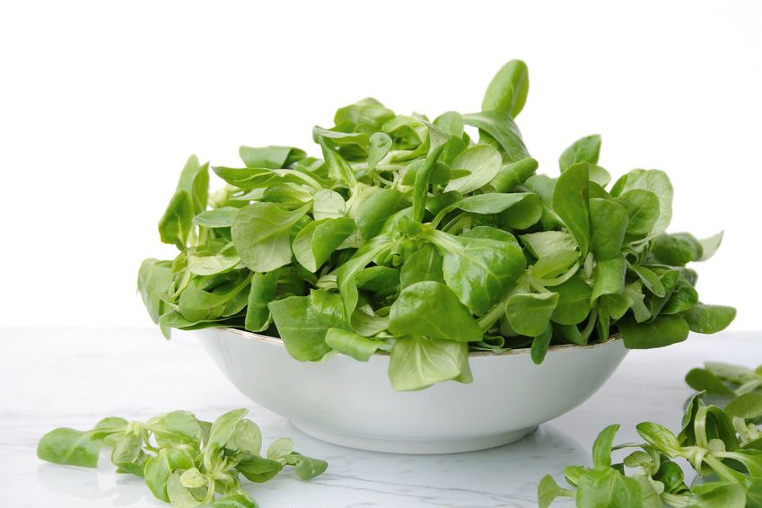 Démystifier la mâche : un allié minceur et santé