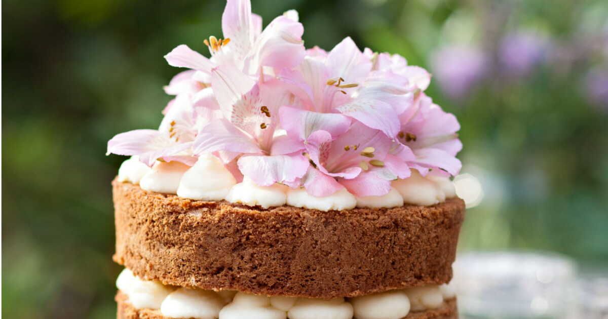 Un délice à étages : le gâteau nu qui enchante les sens