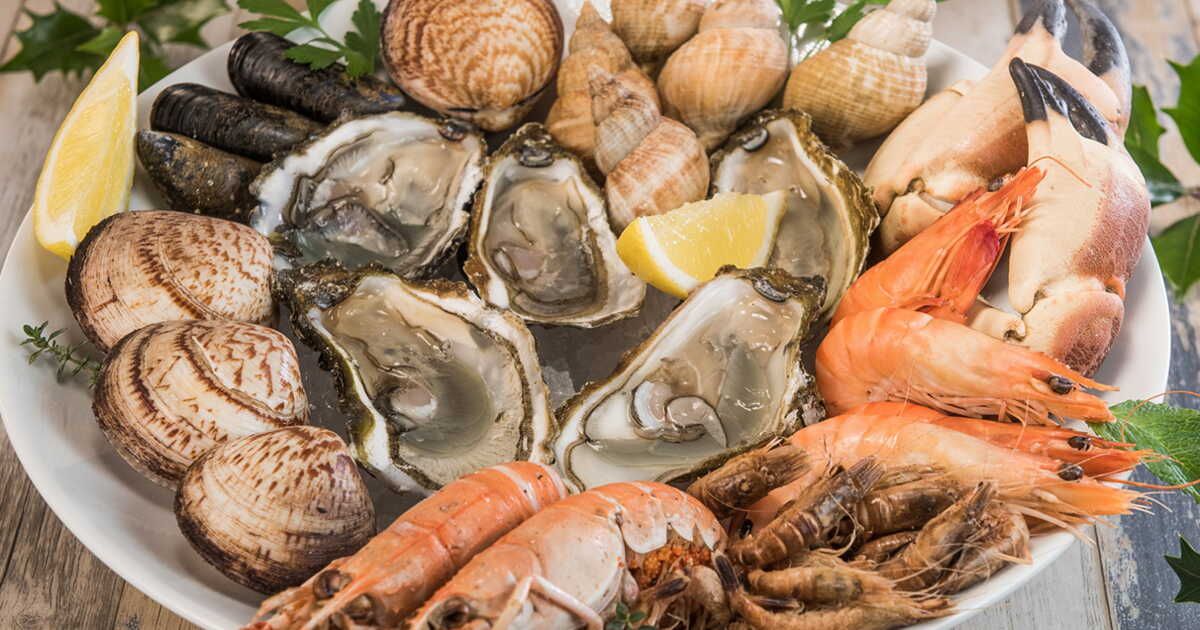 Plateau de fruits de mer : les quantités idéales pour régaler vos invités