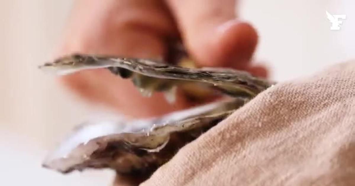 Comment ouvrir des huîtres sans y laisser un doigt ?