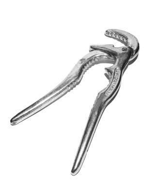 La pince caïman : l'incontournable des amateurs de crustacés