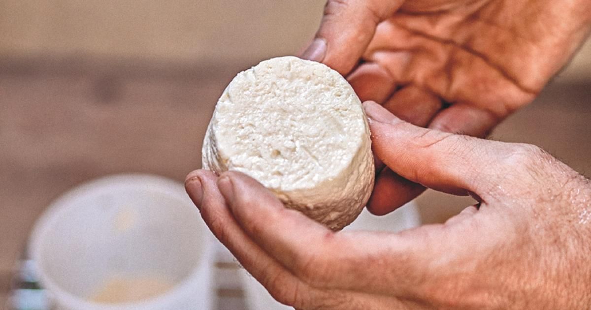 Fabriquez votre fromage à la maison avec le fromager David Asher