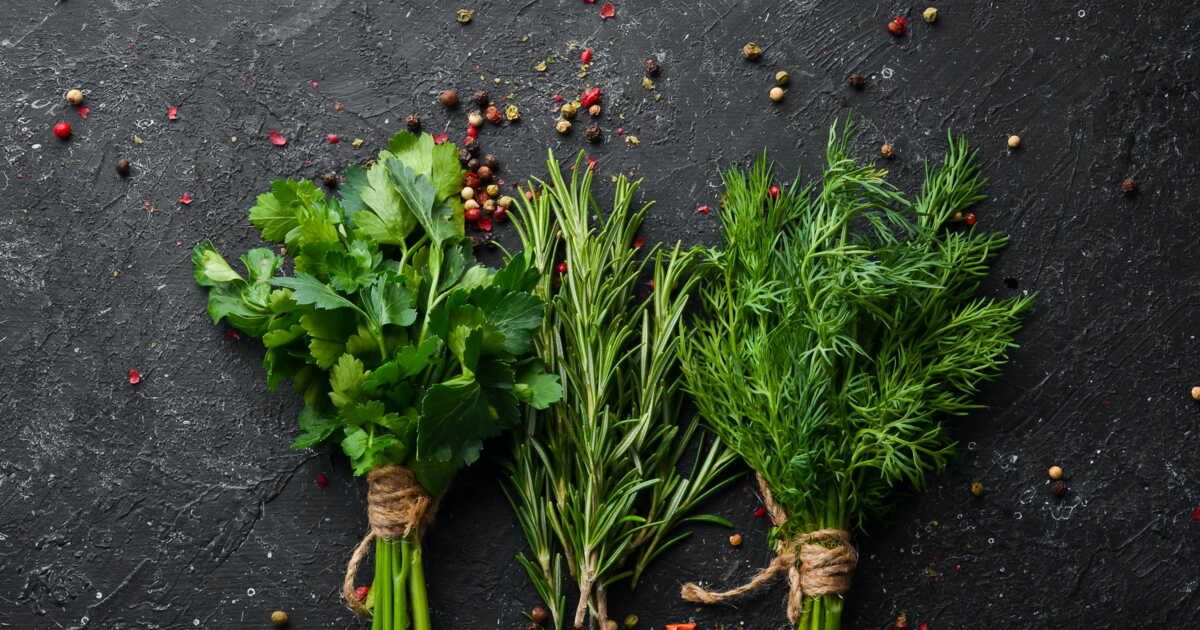 Des herbes fraîches toujours à portée de main : découvrez la méthode incontournable