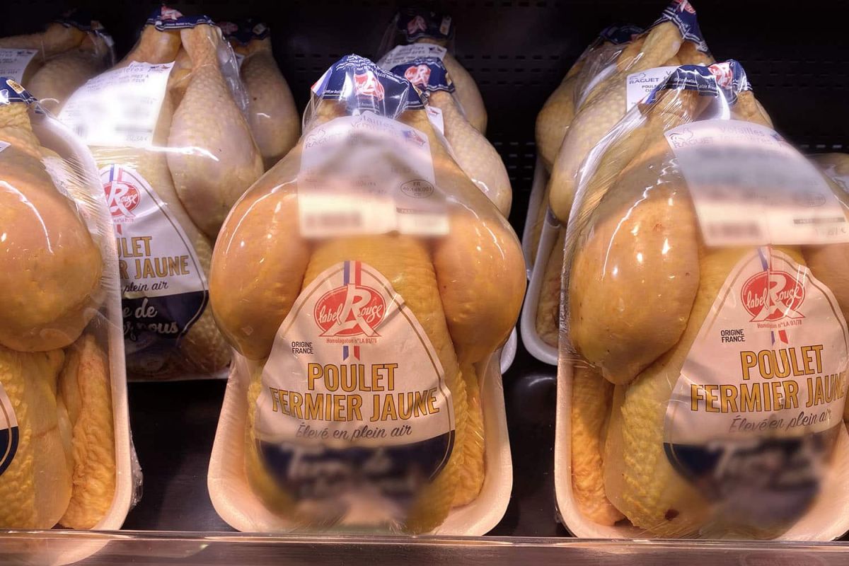 Les secrets dérangeants du poulet jaune : ce que vous devez savoir