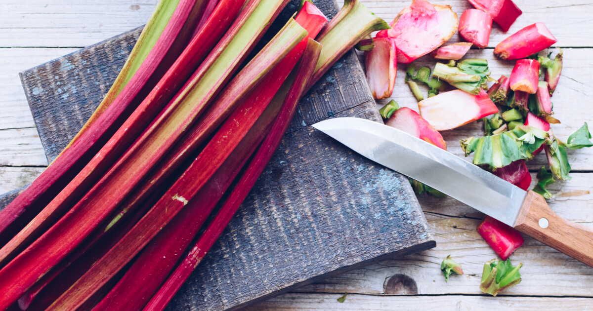 Adoucir la rhubarbe : 7 astuces pour sublimer son acidité