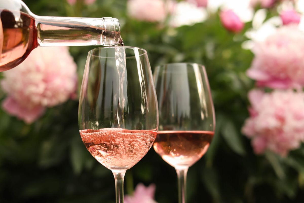 le vin rosé qui séduit les connaisseurs : une offre imbattable