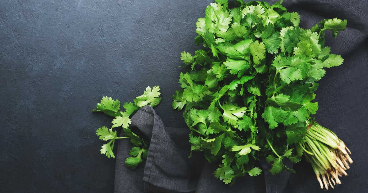Effeuiller persil et coriandre en un éclair : la technique révélée