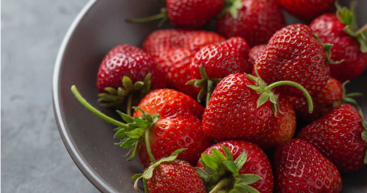 Comment conserver les fraises pour savourer leur fraîcheur plus longtemps