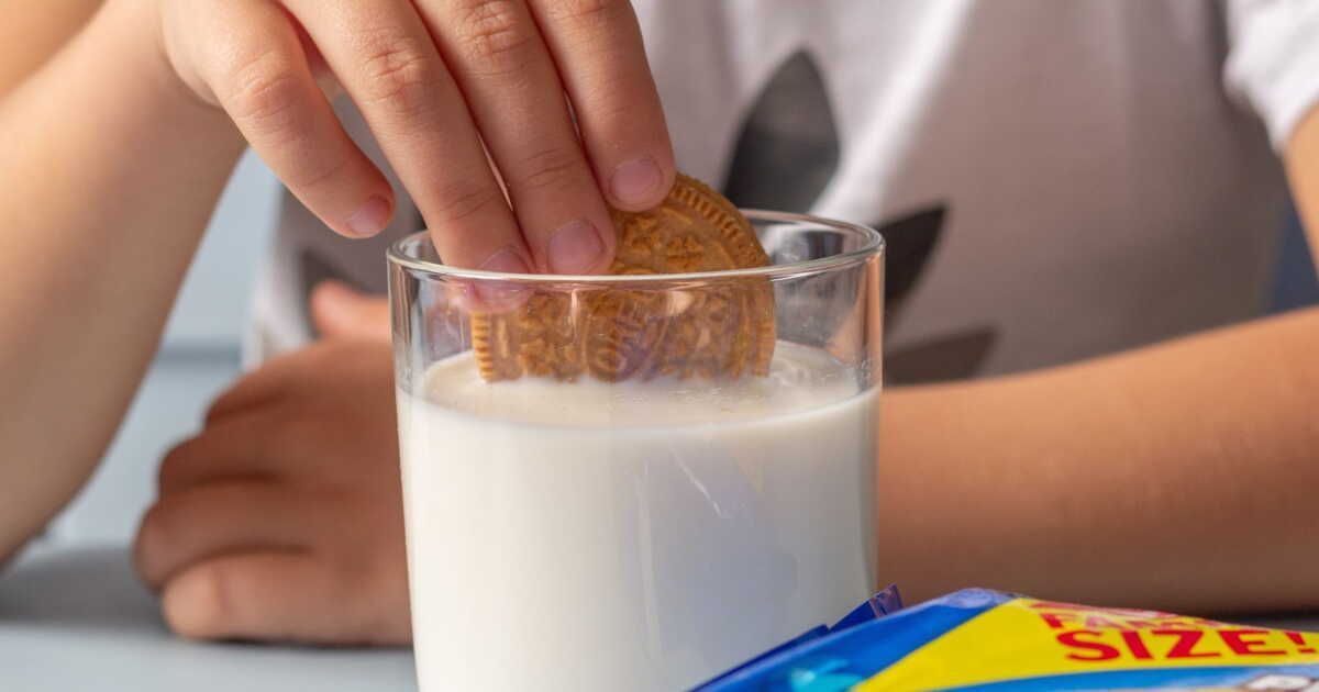 Des douceurs en danger : l'alerte salmonelle menace les goûters d'enfants