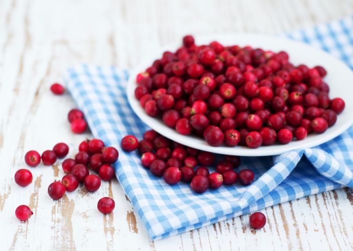 Cranberries : un super-aliment pour prolonger la vie ?