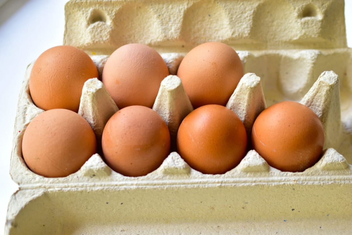 où conserver vos œufs ? un scientifique tranche le débat