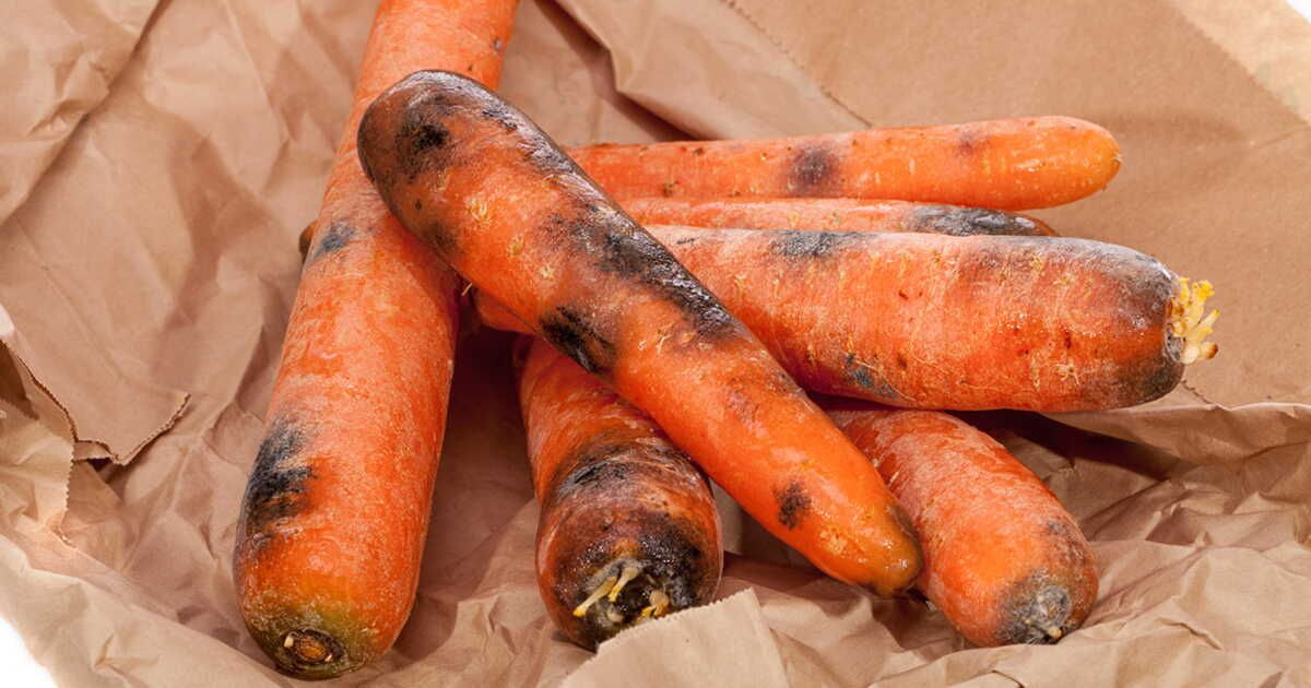 Carottes noircies : que faire avec vos légumes abîmés ?