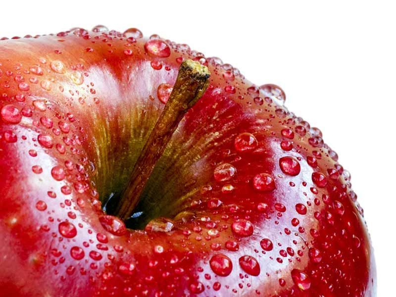 6 délicieuses recettes à base de pommes pour vos repas