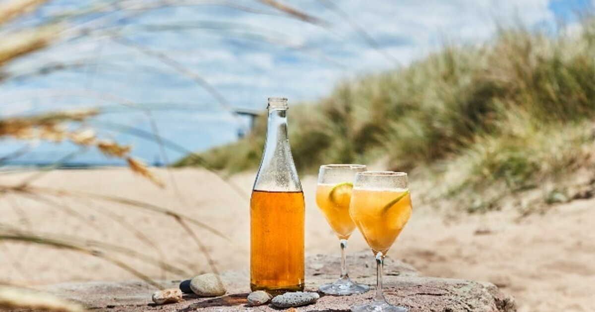 des cocktails au cidre pour un été rafraîchissant