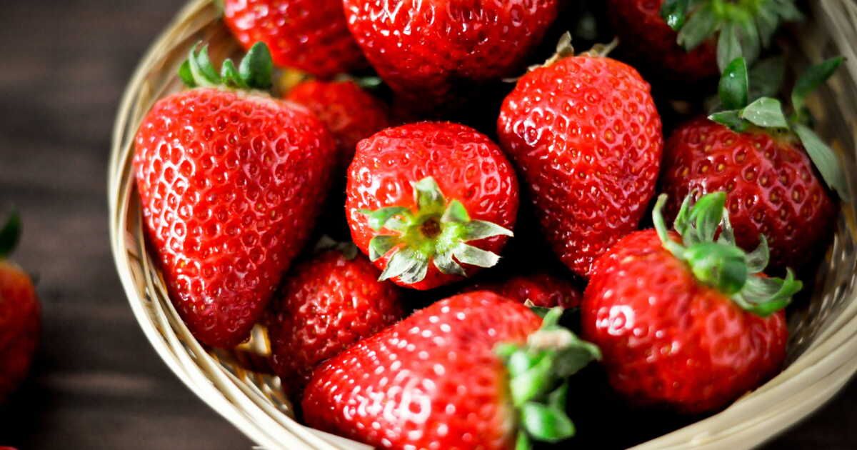 la délicieuse saison des fraises : découvrez les variétés à ne pas manquer