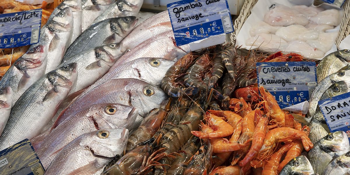 À la découverte des labels de qualité pour le poisson : un choix éclairé
