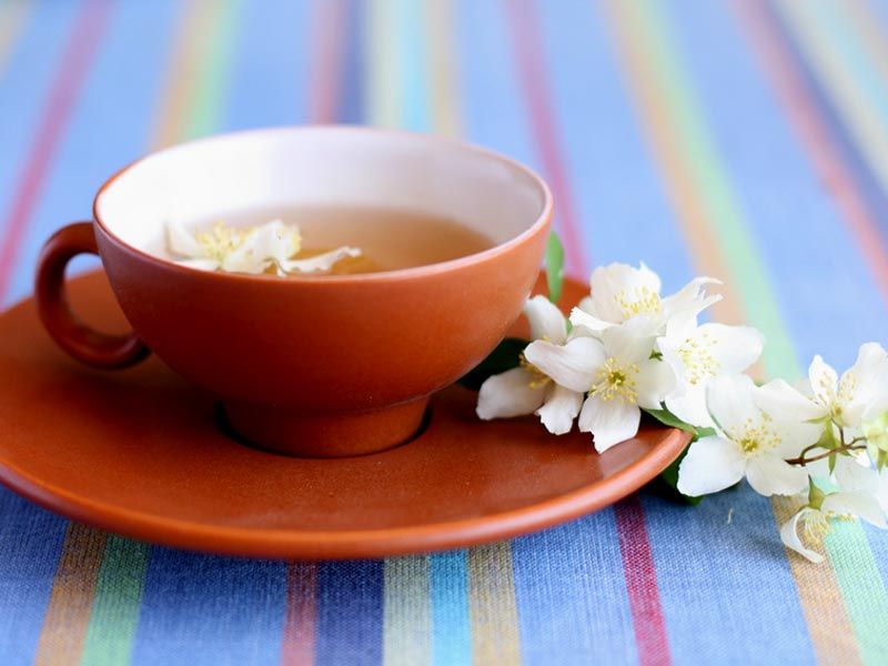 Redécouvrez le bien-être avec ces 6 recettes de tisanes maison