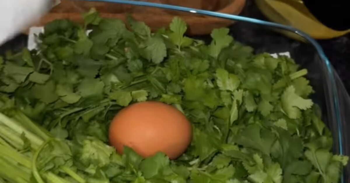 L'astuce surprenante pour garder votre coriandre fraîche plus longtemps