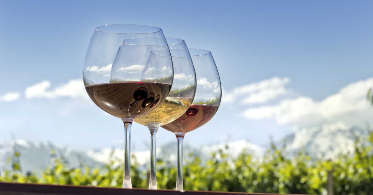 Vins bio et biodynamiques : la tendance qui séduit les amateurs