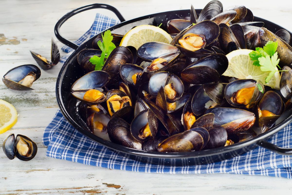 Le guide essentiel pour choisir des moules fraîches