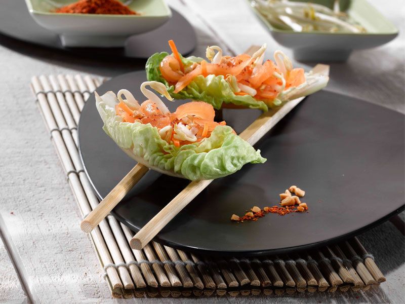Voyage au cœur de recettes légères au saumon