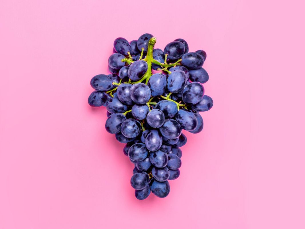 Les super-aliments riches en polyphénols à privilégier