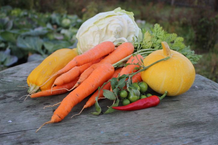 Manger malin cet hiver : les clés d'une alimentation anti-fatigue