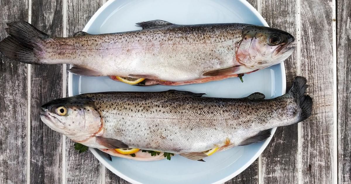 L'ikejime, l'art japonais de sublimer le poisson