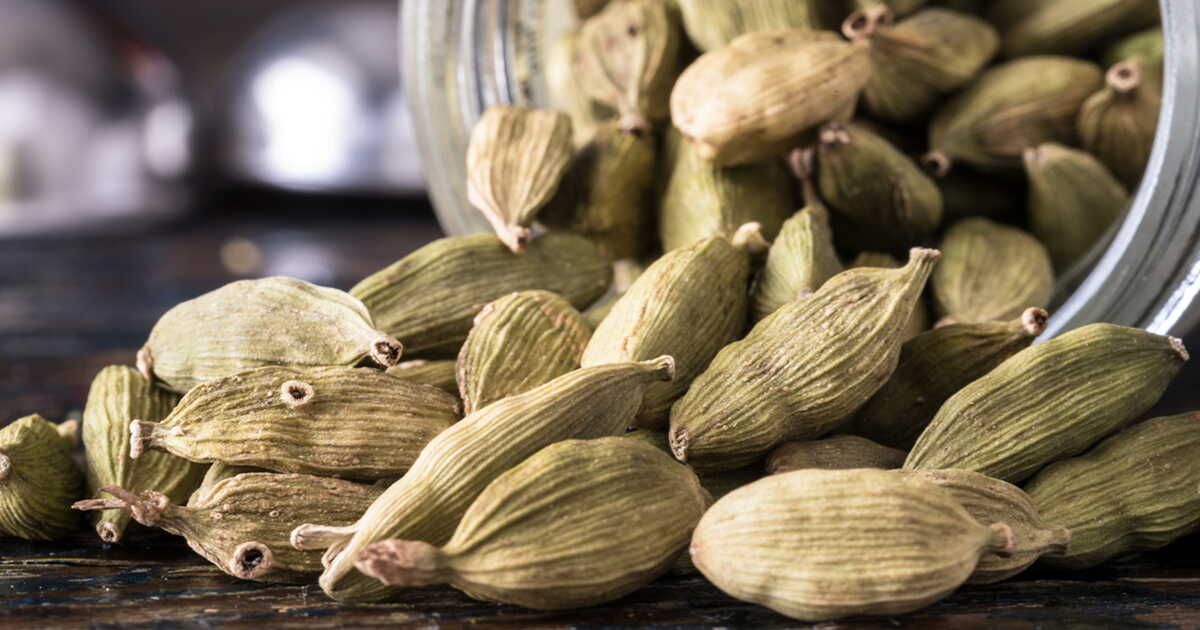Tout savoir sur la cardamome
