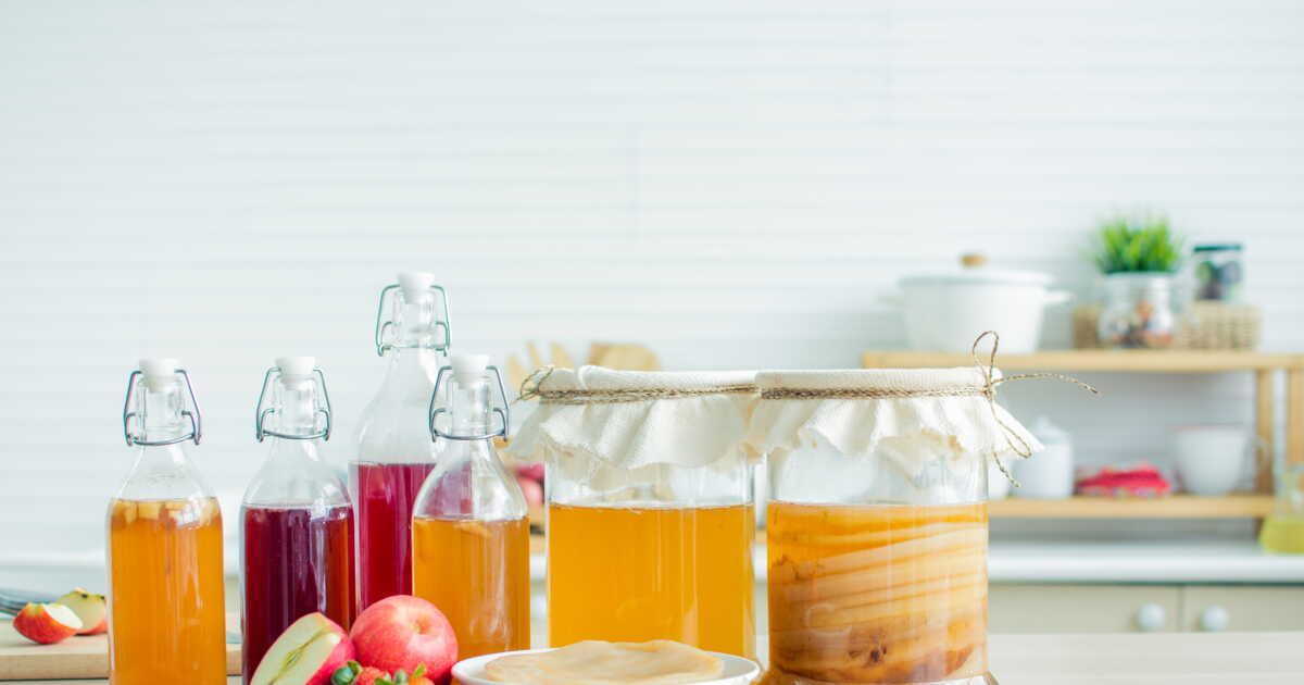 Découvrez comment préparer votre kombucha maison et ses nombreux bienfaits